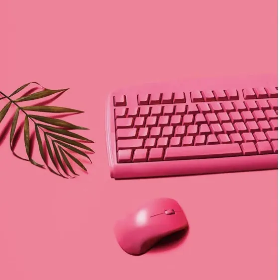 Máster en Diseño Gráfico y WordPress